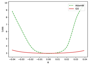 GO optimizer pretraining landscape